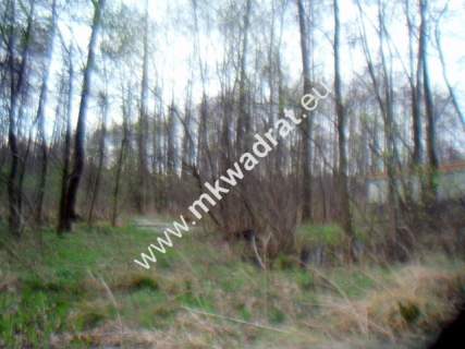 Działka budowlana na sprzedaż, 10030 m2, Słubica B
