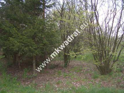 Działka budowlana na sprzedaż, 6270 m2, Adamowice
