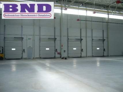 Magazyn do wynajęcia, 5200 m2, Gliwice
