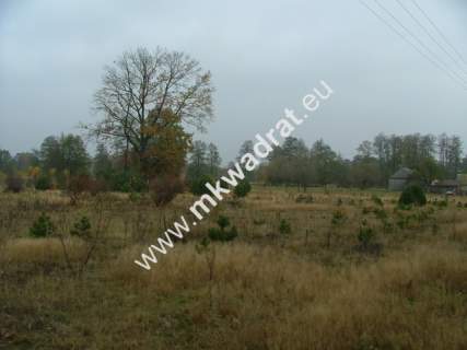 Działka budowlana na sprzedaż, 10000 m2, Nowe Polesie