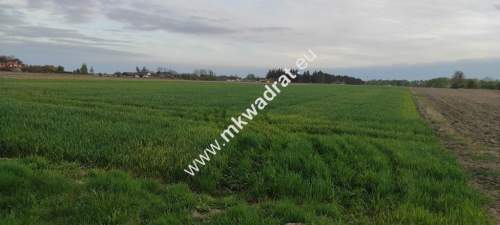 3416m2 Pasikonie k/Kampinosu z warunkami zabudowy 