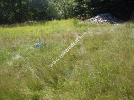 Działka budowlana na sprzedaż, 2803 m2, Teresin