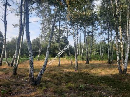 Śliczna działka Bieganów 1700 m2 z MPZP