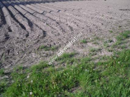 Działka 6450 m2 z domem i halą.