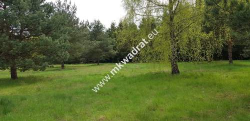 Działka 1352m2 w sąsiedztwie lasu Ojrzanów