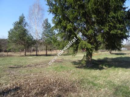 Działka blisko zbiornika komorowskiego