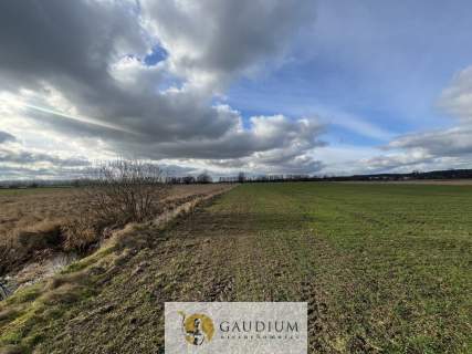 Działka 4600 m2 Sobieszewo ul. Uzdrowiskowa