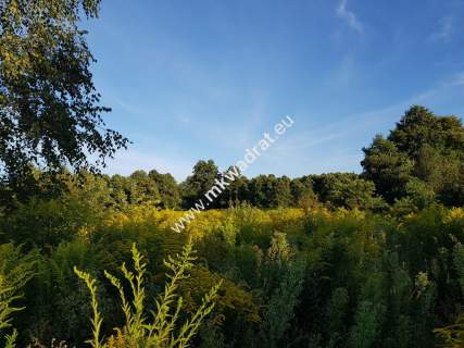 Milanówek dom 2 lokalowy blisko WKD