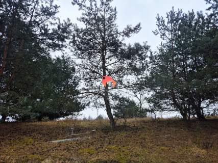 DZIAŁKA W KRUSZYNIE - WSZYSTKIE MEDIA 1074 M2