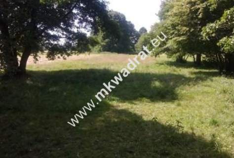 Działka budowlana na sprzedaż, 10100 m2, Chrzanów Mały