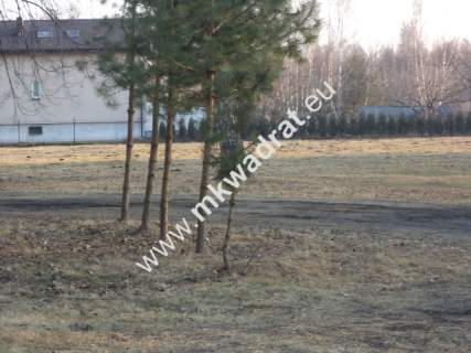 Działka budowlana z lasem 1/3 pow. w m.Stare Budy