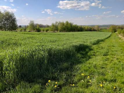 Gołyszyn, gm. Skała, działka rolna, 1,28 ha