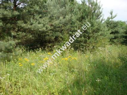 Grzegorzewice działka 2163m2