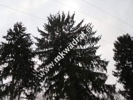 Działka budowlana na sprzedaż, 4000 m2, Stanisławów