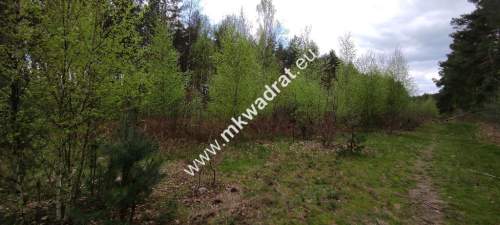 Piękna działka przy lesie, Czarny las 2769m2