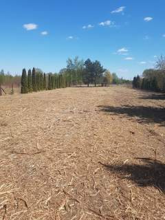 Działka inwestycyjna/WZ na dwa domy/4 lokale 600m2 PUM