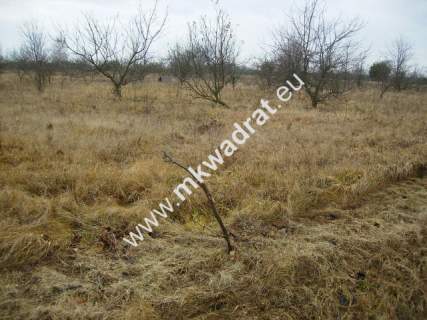 Działka inwestycyjna na sprzedaż, 5000 m2, Puszcza Mariańska
