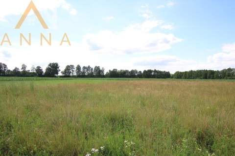 Działka budowlana z warunkami zabudowy
