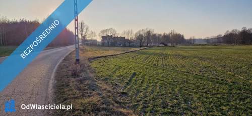 Sprzedam działkę budowlaną, Stara Wieś, gm. Rząśnik, powiat wyszk