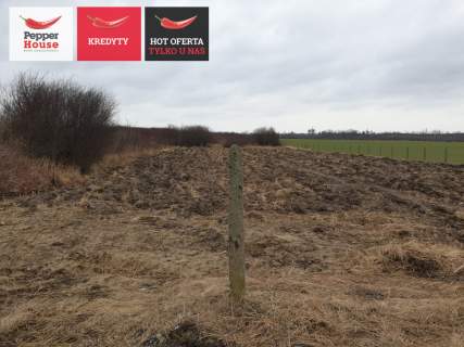 Działka z możliwością posadowienia domu, siedliska