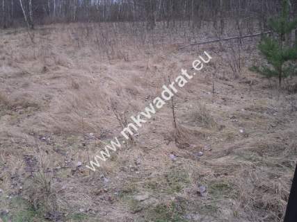 Działka budowlana na sprzedaż, 10900 m2, Stare Budy