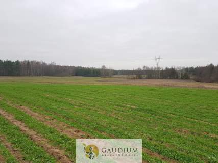 Działka przemysłowa 2,5 ha.