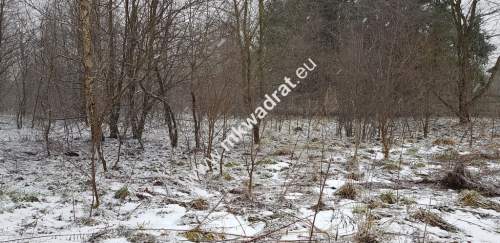 Działka z planem zagospodarowania