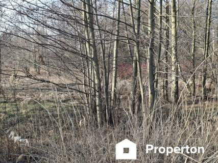 Działka inwestycyjna na sprzedaż, 8900 m2, Radziejowice-Parcel
