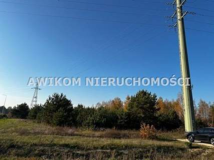 Działka rolna na sprzedaż, 11300 m2, Kotorydz