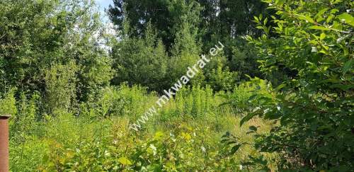 Osowiec gm. Żabia Wola 1653m2 narożna MPZP