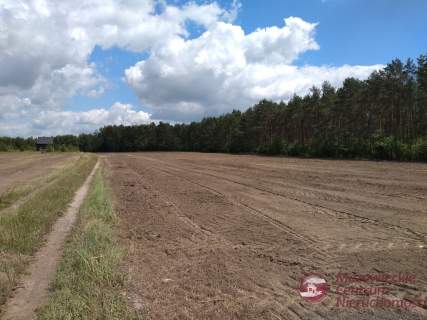 Działki budowlane z możliwością podziału