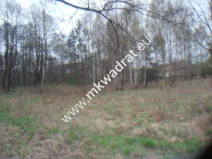 Działka budowlana na sprzedaż, 10030 m2, Słubica B