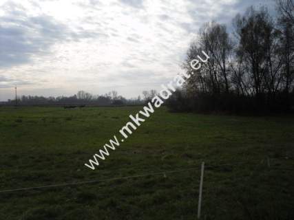 Działka rolna na sprzedaż, 130000 m2, Baranów