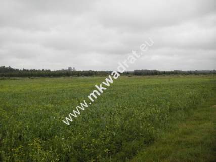 Działka rolna na sprzedaż, 34800 m2, Zimnice