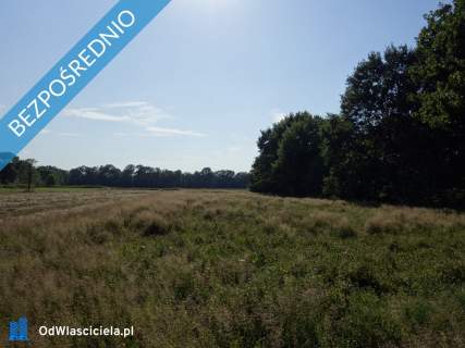 Skoczów Ochaby 62ar pod lasem nadaje się pod rekreacje