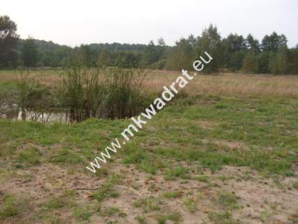 Działka budowlana na sprzedaż, 20000 m2, Nowe Budy