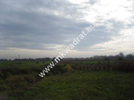 Działka rolna na sprzedaż, 130000 m2, Baranów