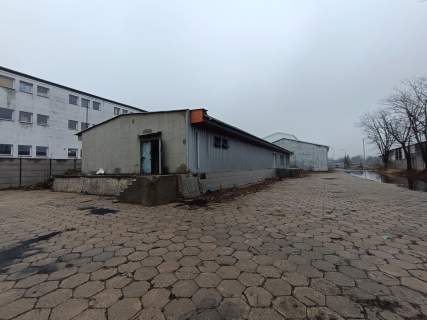 Hala, pomieszczenia magazynowe, plac - Czarnów