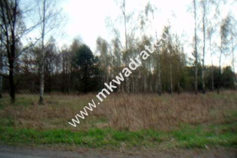 Działka budowlana na sprzedaż, 10030 m2, Słubica B
