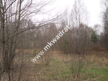 Działka budowlana na sprzedaż, 9600 m2, Stare Budy