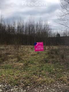 Działki budowlane Zakrzów gmina Białaczów.