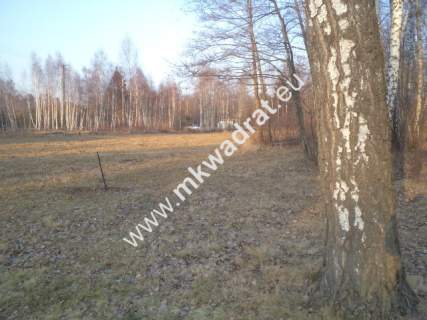 Działka budowlana z lasem 1/3 pow. w m.Stare Budy