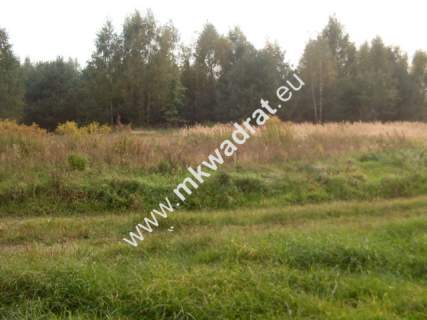 Działka budowlana na sprzedaż, 20000 m2, Nowe Budy