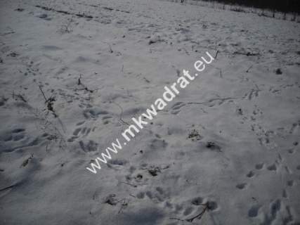 Działka inwestycyjna na sprzedaż, 3000 m2, Płochocin