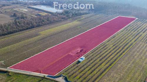 Działka rolna 2,25 ha - Marianka koło Tarczyna