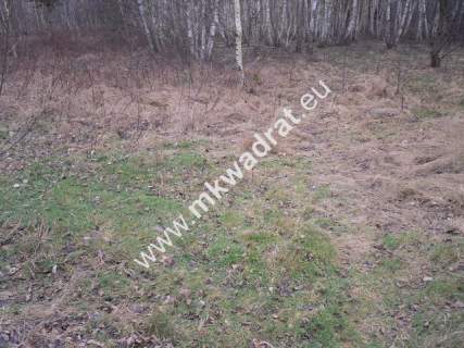 Działka budowlana na sprzedaż, 9600 m2, Stare Budy