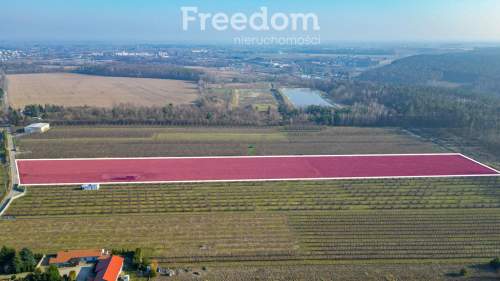 Działka rolna 2,25 ha - Marianka koło Tarczyna