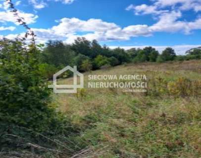 Atrakcyjna działka 24.100 m2 -rolna w Chmielnie