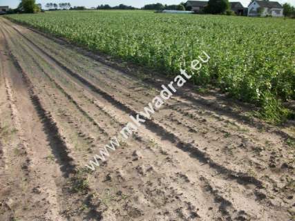 Konstantów działka 1.225m2 wym.35x35 PKP A2 LUX