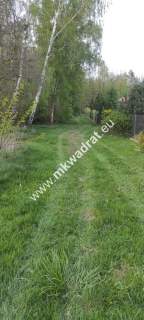 3416m2 Pasikonie k/Kampinosu z warunkami zabudowy 